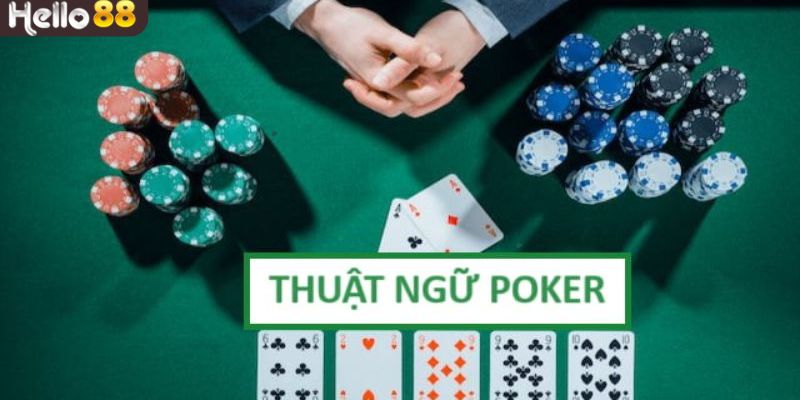 Biết nhiều điều mới mẻ hơn từ thuật ngữ Poker