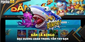 Sơ lược về game bắn cá Bingo