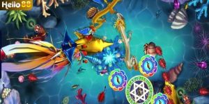 Săn cá bằng nhiều loại vũ khí khác nhau 