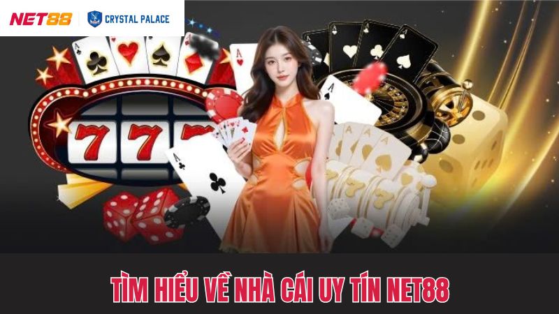 Khái quát về sân chơi dẫn đầu thị trường